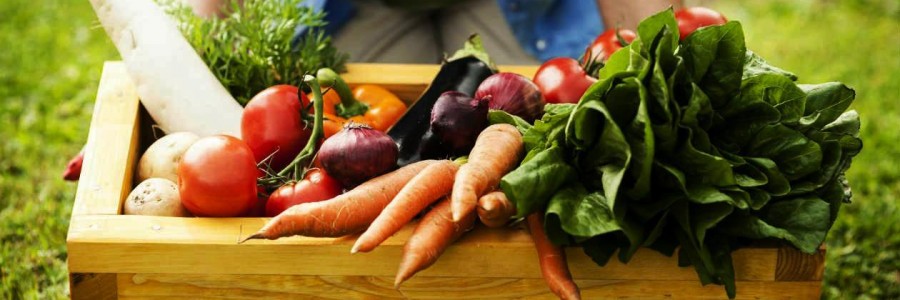 #ValoremosLosAlimentos, basta de desperdiciar comida